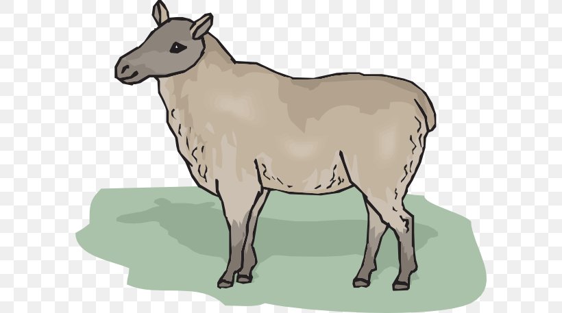 Cheviot Sheep Clip Art, PNG, 600x457px, Cheviot Sheep, Black Sheep, Cattle Like Mammal, Cow Goat Family, Donkey Download Free
