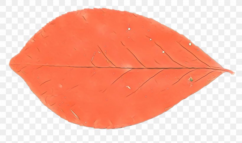 Orange, PNG, 2595x1540px, Cartoon, Leaf, Orange, Plant, Red Download Free