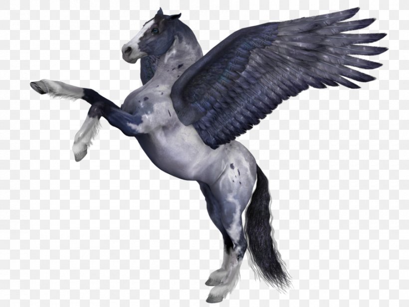 Pegasus Pony Wing Pintabian, PNG, 900x675px, Pegasus, Animaatio, Beak, Bird, Bird Of Prey Download Free