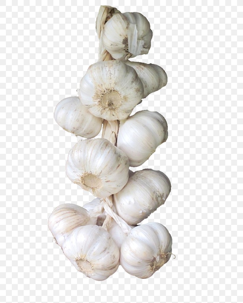 Elephant Garlic Vegetable Condiment, PNG, 768x1024px, Garlic, Asparagus, Clam, Clams Oysters Mussels And Scallops, Condiment Download Free