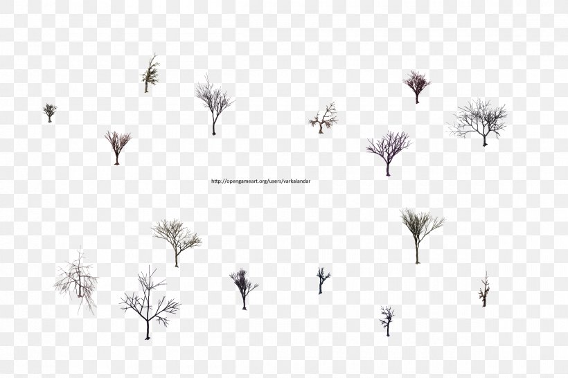 Twig Tree Leaf Branch White, PNG, 2400x1600px, Twig, Bird, Black, Black And White, Branch Download Free