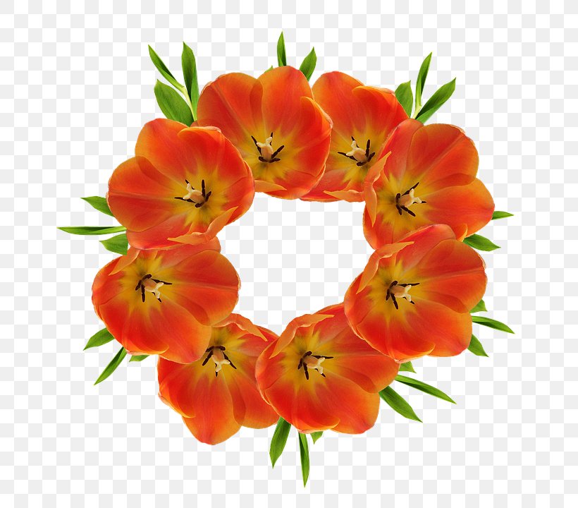 Clip Art Crown Flower Image, PNG, 720x720px, Crown, Annual Plant, Cut Flowers, Flower, Flowering Plant Download Free