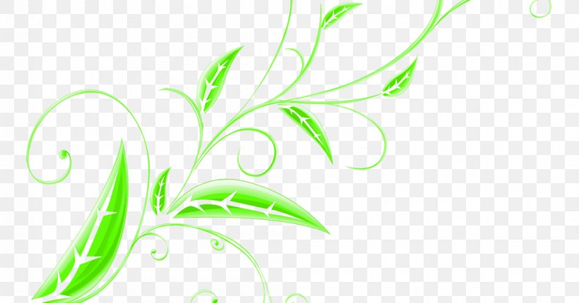 Clip Art Leaf Flower Floral Design, PNG, 1060x557px, Leaf, Botany, Decorative Arts, Drawing, Engagement Download Free