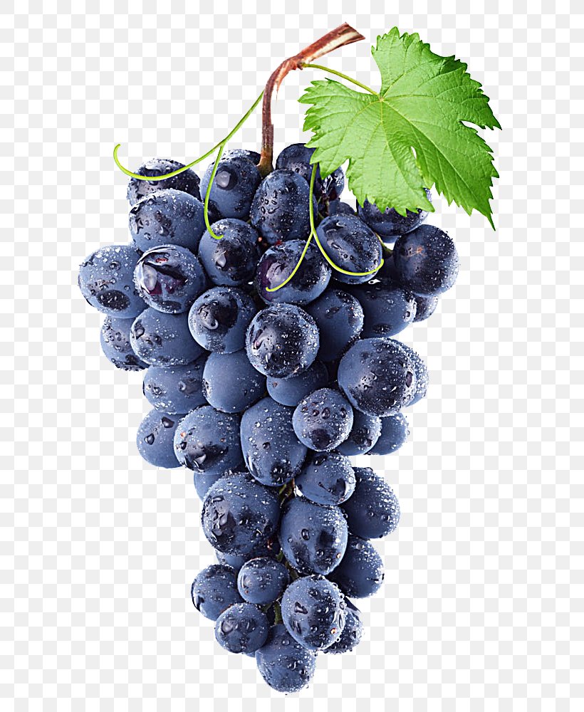 Common Grape Vine Wine Isabella Concord Grape, PNG, 642x1000px, Common Grape Vine, Berry, Bilberry, Blueberry, Blueberry Tea Download Free