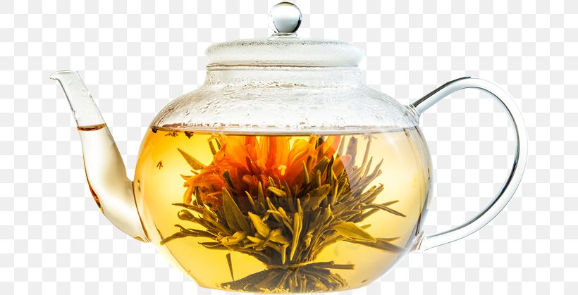 Flowering Tea Green Tea Infuser Tea Strainers, PNG, 683x419px, Flowering Tea, Black Tea, Camellia Sinensis, Decaffeination, Earl Grey Tea Download Free
