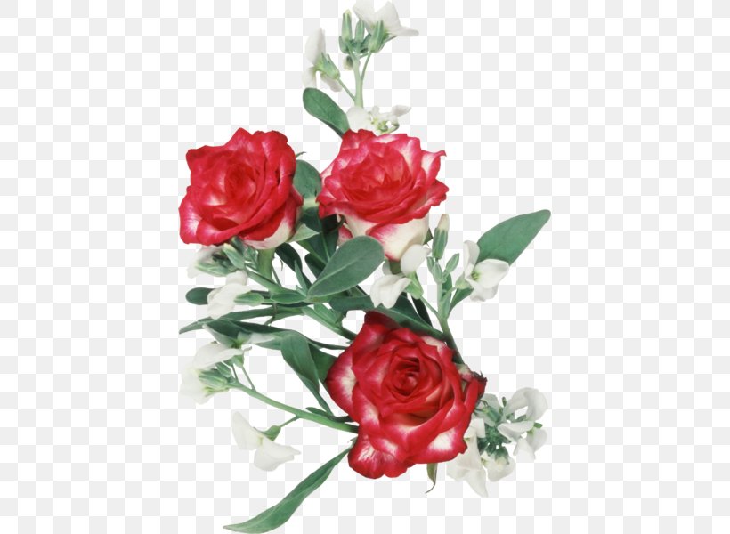 Garden Roses Floral Design Cut Flowers, PNG, 419x600px, Garden Roses, Artificial Flower, Cabbage Rose, Cut Flowers, Digital Image Download Free