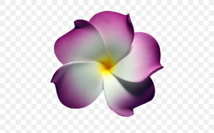 Herbaceous Plant, PNG, 512x512px, Herbaceous Plant, Flower, Flowering Plant, Lilac, Magenta Download Free