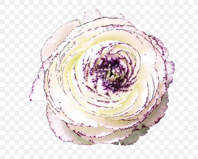 Purple Cut Flowers RGB Color Model, PNG, 700x659px, Purple, Blume, Color, Color Model, Cut Flowers Download Free