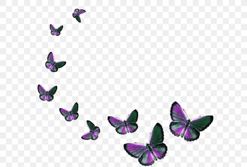 Butterfly Clip Art, PNG, 600x555px, Butterfly, Animal, Brush Footed Butterfly, Directupload, Imageshack Download Free