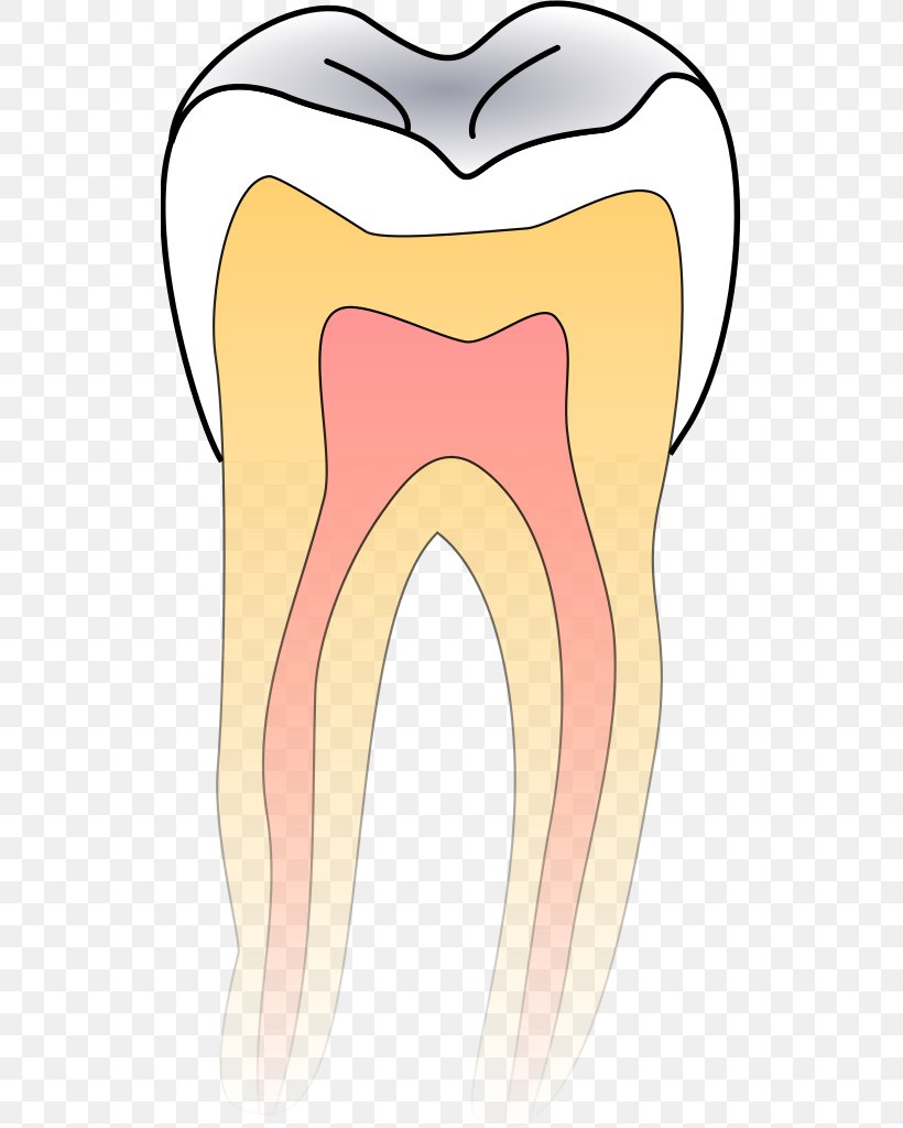 Dentistry Tooth Decay, PNG, 528x1024px, Watercolor, Cartoon, Flower, Frame, Heart Download Free