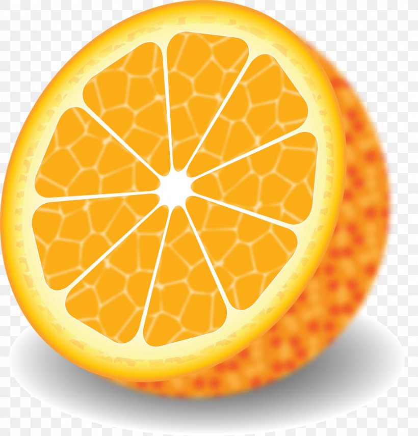 Drawing Orange, PNG, 1531x1600px, Drawing, Art, Citric Acid, Citrus, Color Download Free