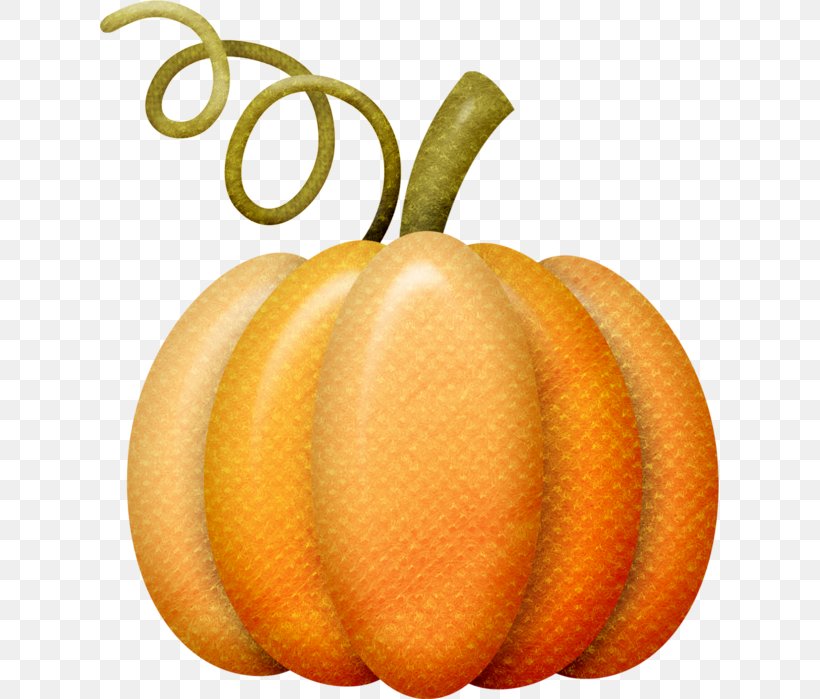 Pumpkin Calabaza Winter Squash Gourd Autumn, PNG, 619x699px, Pumpkin, Animaatio, Autumn, Autumn Leaves, Calabaza Download Free