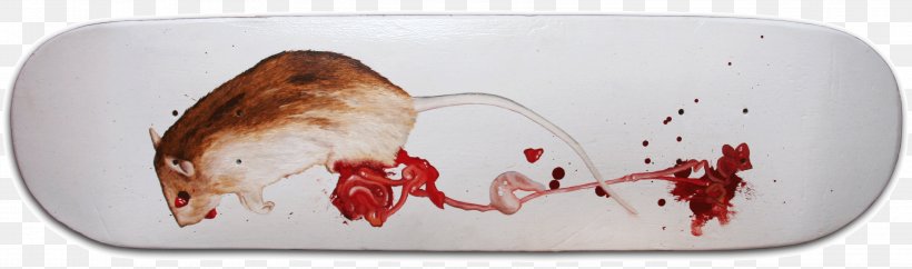 Roadkill Triptych Columbidae Brown Rat Death, PNG, 3196x944px, Roadkill, Bicycle, Brown Rat, Cap, Columbidae Download Free