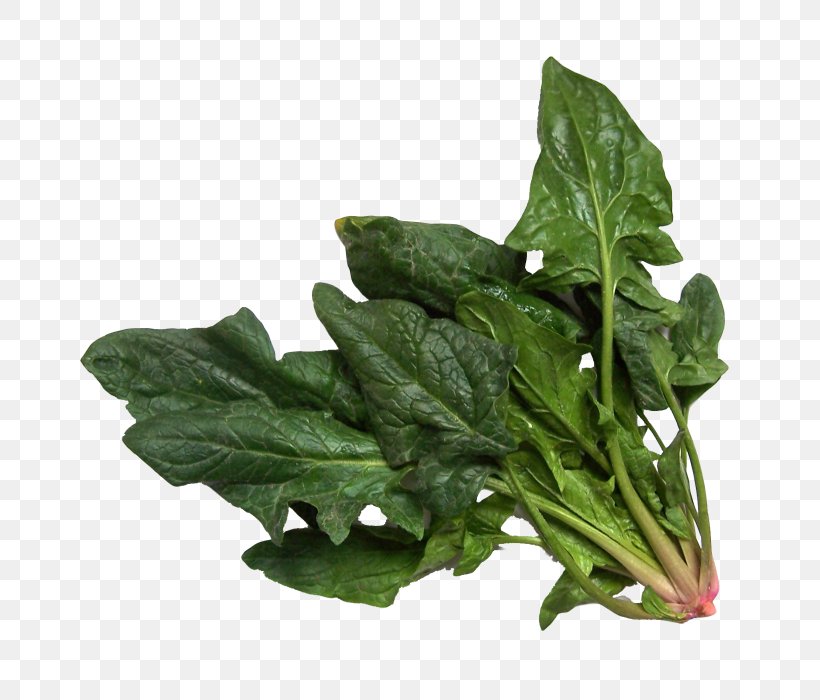 Spinach Salad Vegetable Chard, PNG, 700x700px, Spinach, Cannelloni, Chard, Choy Sum, Collard Greens Download Free