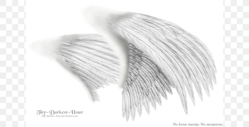 Black And White Angel Wing Monochrome Drawing, PNG, 650x420px, Black And White, Angel, Angel Wing, Art, Brush Download Free