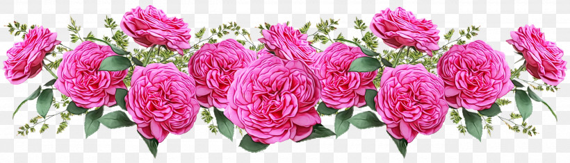 Floral Design, PNG, 2560x734px, Watercolor, Amaranth, Amaranthaceae, Annual Plant, Cut Flowers Download Free