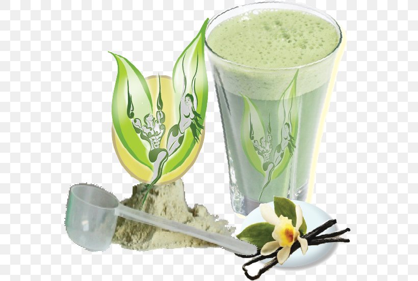 Health Shake Milkshake Veggie Burger Veganism Vegetarianism, PNG, 567x552px, Health Shake, Champagne Glass, Champagne Stemware, Dietary Supplement, Drink Download Free