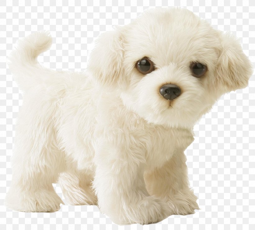 Maltese Dog Puppy Stuffed Animals & Cuddly Toys Infant, PNG, 1200x1082px, Maltese Dog, Animal, Aurora World Inc, Beanie Babies, Bichon Download Free