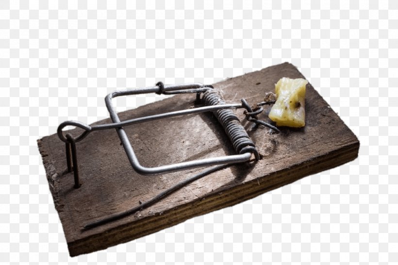 Mousetrap Rat Trap Trapping Lenovo Essential Laptops, PNG, 1000x667px, Mousetrap, Animal Trap, Lenovo Essential Laptops, Material, Mouse Download Free