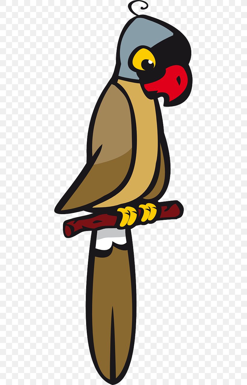 Parrot Bird Cartoon Clip Art, PNG, 640x1280px, Parrot, Art, Artwork, Beak, Bird Download Free