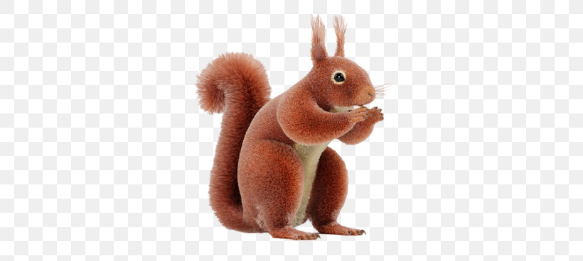 Squirrel Eurasian Red Squirrel Animal Figure Rabbit Rabbits And Hares, PNG, 680x368px, Squirrel, Animal Figure, Animation, Ear, Eurasian Red Squirrel Download Free