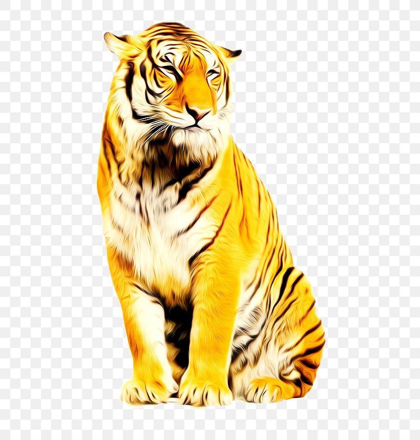 Tiger Animation PhotoScape, PNG, 539x860px, Tiger, Animation, Big Cats,  Blog, Carnivoran Download Free