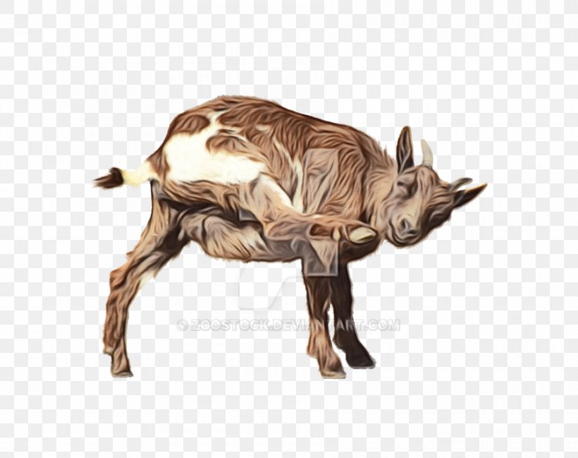 Boer Goat Horn Image Transparency, PNG, 900x713px, Boer Goat, Art, Bovidae, Caprinae, Deviantart Download Free
