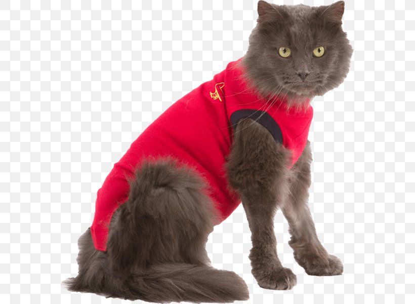 Cat Dog Kitten T-shirt Pet, PNG, 600x600px, Cat, Black Cat, Canine Reproduction, Cap, Carnivoran Download Free