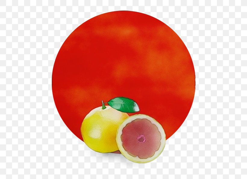 Fruit Plate Food Plant Seedless Fruit, PNG, 536x595px, Watercolor, Food, Fruit, Paint, Plant Download Free