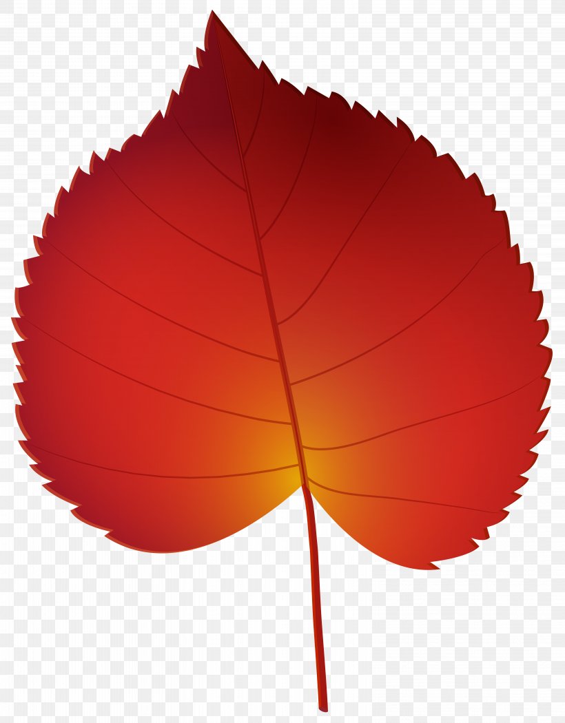 Autumn Leaf Color Autumn Leaf Color Clip Art, PNG, 6244x8000px, Leaf, Autumn, Autumn Leaf Color, Maple Leaf, Orange Download Free