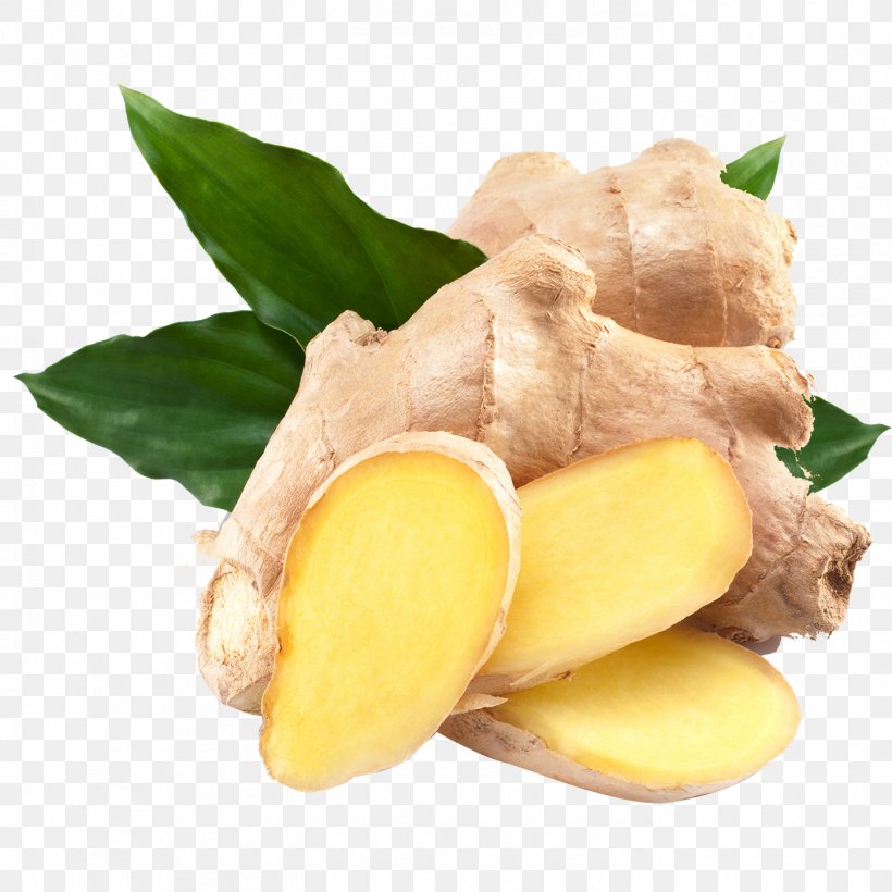 Ginger Ale Seed Vegetable Plant, PNG, 1400x1400px, Ginger, Bonsai, Flower, Food, Fruit Download Free
