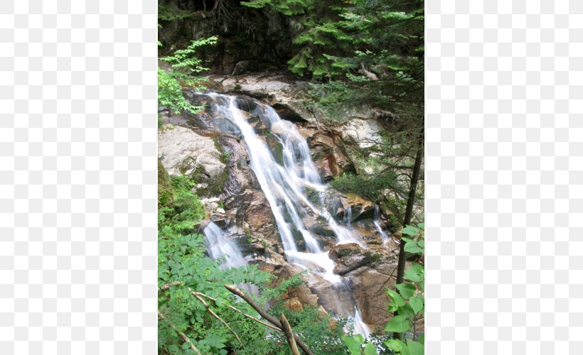 Waterfall Vegetation Water Resources Old-growth Forest Watercourse, PNG, 500x500px, Waterfall, Arroyo, Body Of Water, Chute, Creek Download Free