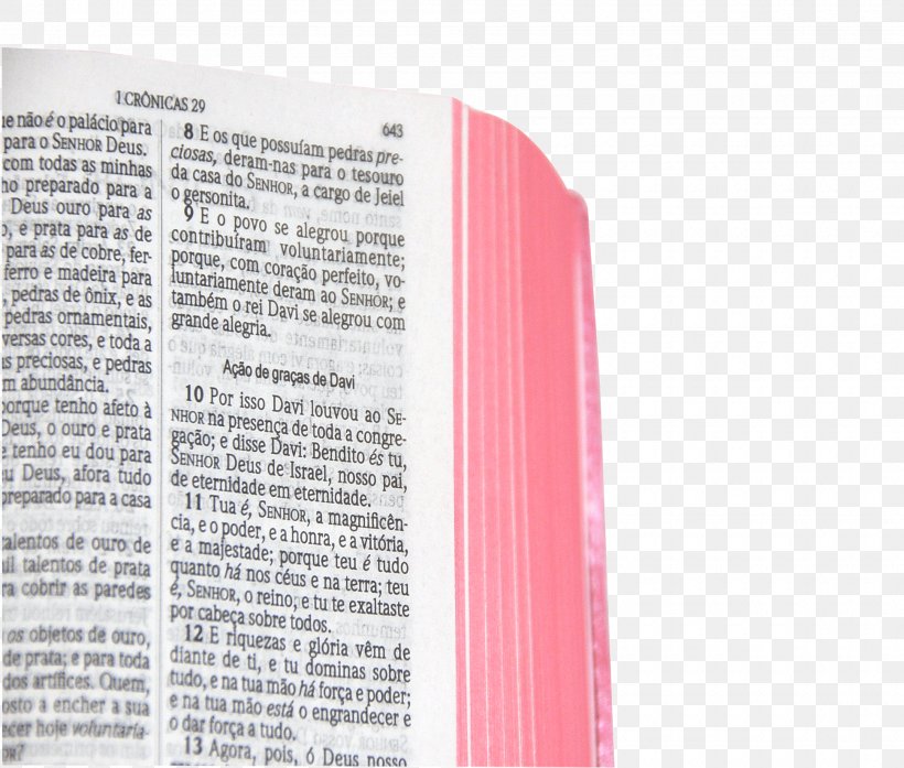 Bible Almeida Corrigida Fiel Almeida Revista E Corrigida Font, PNG, 1940x1649px, Bible, Brand, Magenta, Pink, Text Download Free