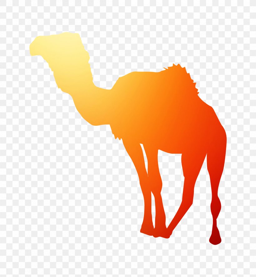 Dromedary Horse Clip Art Silhouette Snout, PNG, 2400x2600px, Dromedary, Animal Figure, Arabian Camel, Bactrian Camel, Camel Download Free