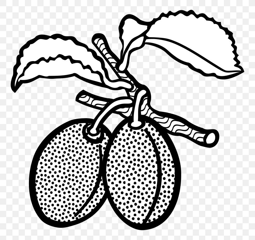 Line Art Drawing Clip Art, PNG, 800x774px, Line Art, Artwork, Black And White, Drawing, Invertebrate Download Free