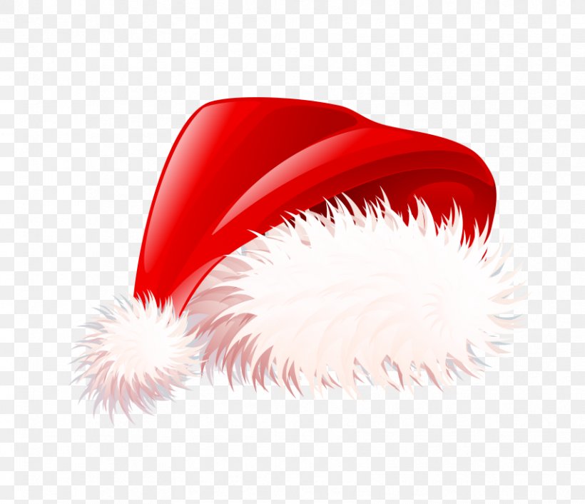 Santa Claus Santa Suit Christmas Clip Art, PNG, 854x736px, Santa Claus, Christmas, Christmas Ornament, Close Up, Free Content Download Free