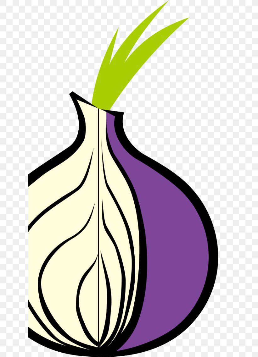 Tor .onion Web Browser Anonymous Web Browsing Onion Routing, PNG, 640x1136px, Tor, Anonymity, Anonymous Web Browsing, Artwork, Computer Network Download Free
