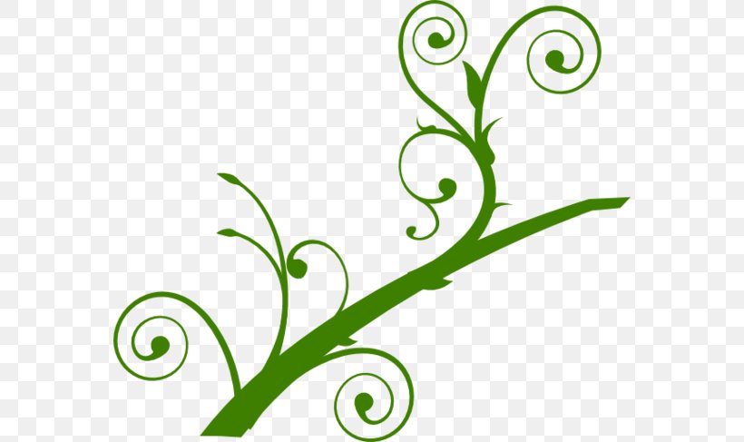 Branch Leaf Clip Art, PNG, 570x487px, Branch, Area, Artwork, Flora, Flower Download Free