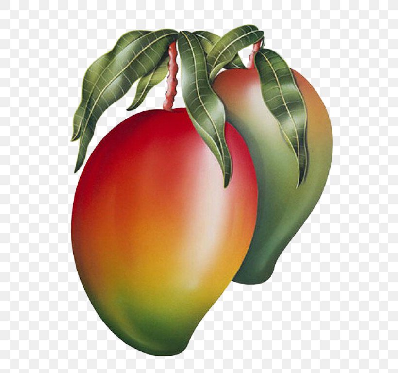 Tomato Fruit Mango Painting Vegetable, PNG, 607x768px, Tomato, Apple, Art, Auglis, Bush Tomato Download Free