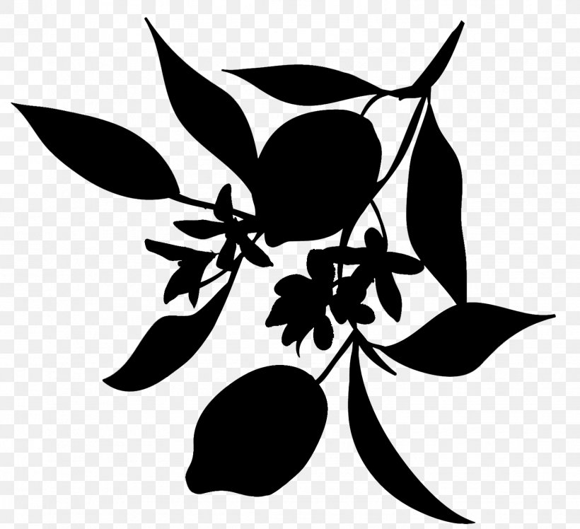 Flower Clip Art Pattern Silhouette Leaf, PNG, 1544x1409px, Flower, Art, Blackandwhite, Botany, Branching Download Free