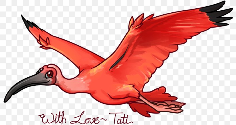 The Scarlet Ibis Bird Beak, PNG, 800x435px, Watercolor, Cartoon, Flower, Frame, Heart Download Free