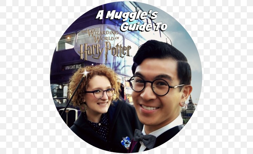 The Wizarding World Of Harry Potter, PNG, 500x500px, Wizarding World Of Harry Potter, Diagon Alley, Dvd, Eyewear, Glasses Download Free