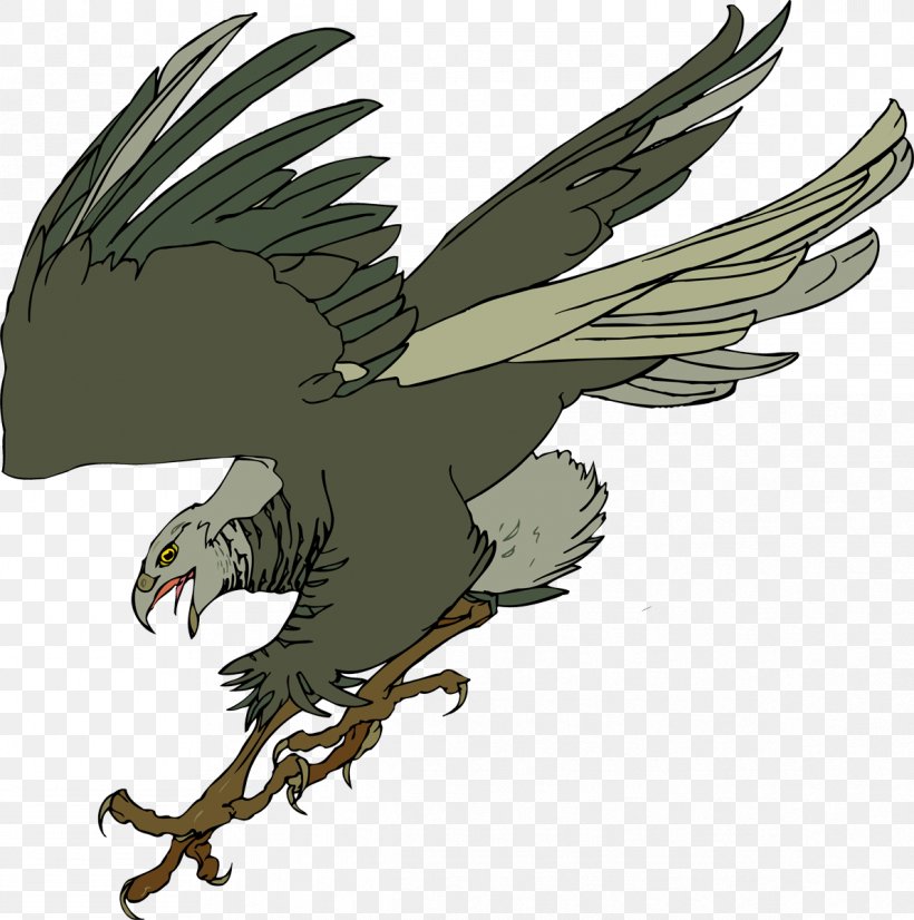 Bald Eagle Hawk Common Buzzard, PNG, 1191x1200px, Bald Eagle, Accipitriformes, Beak, Bird, Bird Of Prey Download Free
