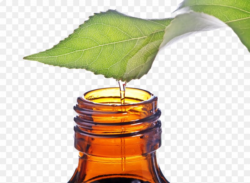 Tea Tree Oil Narrow-leaved Paperbark Essential Oil, PNG, 3810x2800px, Tea, Acne, Antibiotics, Antiseptic, Benzoyl Peroxide Download Free