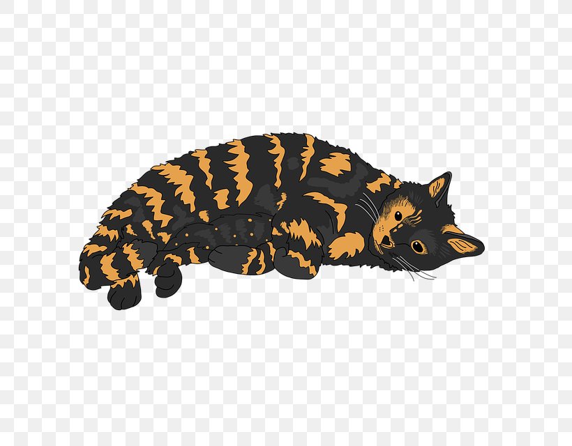Tortoiseshell Cat Stock.xchng Kitten Image, PNG, 640x640px, Cat, Animal, Animal Figure, Big Cats, Carnivoran Download Free