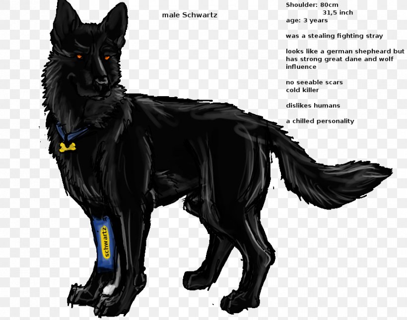 Dog Breed German Shepherd Tail GroupM, PNG, 891x702px, Dog Breed, Breed, Carnivoran, Dog, Dog Breed Group Download Free