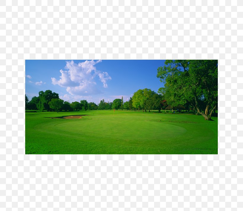 Golf Course Golf Clubs Grassland Leisure, PNG, 650x711px, Golf, Field, Golf Club, Golf Clubs, Golf Course Download Free