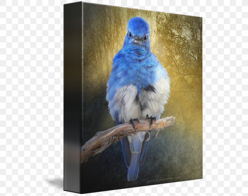 Painting Macaw Gallery Wrap Mountain Bluebird Canvas, PNG, 535x650px, Painting, Art, Beak, Bird, Bluebird Download Free