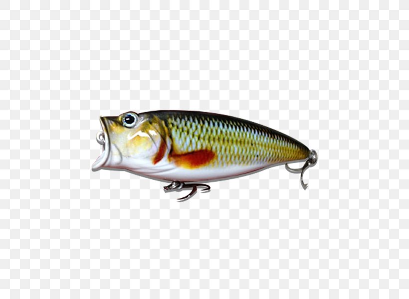 Perch Spoon Lure Herring Fish AC Power Plugs And Sockets, PNG, 800x600px, Perch, Ac Power Plugs And Sockets, Bait, Bony Fish, Fish Download Free