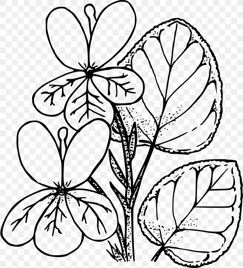 Violet Drawing Coloring Book Clip Art, PNG, 2176x2400px, Violet, Art, Black And White, Branch, Brush Footed Butterfly Download Free